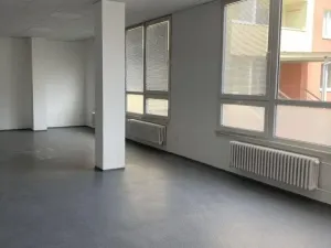 Pronájem obchodního prostoru, Přerov - Přerov I-Město, Šířava, 255 m2