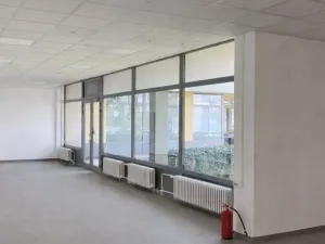 Pronájem obchodního prostoru, Přerov - Přerov I-Město, Šířava, 255 m2