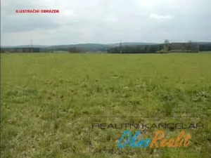 Prodej louky, Němětice, 918 m2