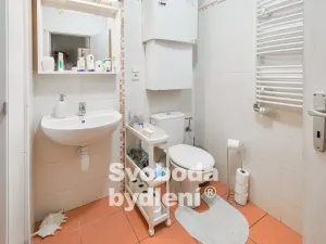 Pronájem bytu 2+kk, Nová Ves, Nad Obcí, 50 m2