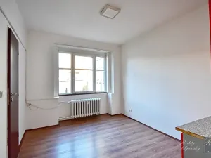 Prodej bytu 1+kk, Ústí nad Labem, Truhlářova, 17 m2