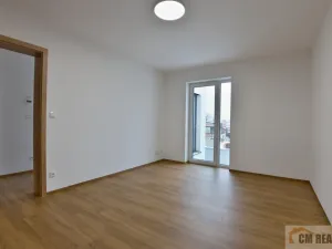 Pronájem bytu 3+kk, Bedihošť, Sv. Václava, 90 m2