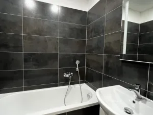 Pronájem bytu 1+1, Ústí nad Labem - Ústí nad Labem-centrum, Masarykova, 40 m2