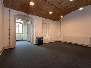 Pronájem obchodního prostoru, Mladá Boleslav - Mladá Boleslav I, Vodkova, 298 m2