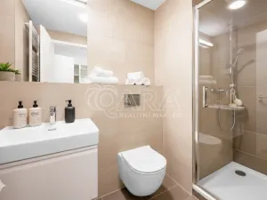 Pronájem bytu 1+kk, Praha, Litoměřická, 28 m2