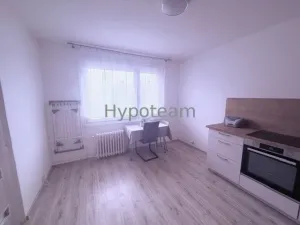 Pronájem bytu 1+1, Ústí nad Labem - Severní Terasa, Švestková, 34 m2