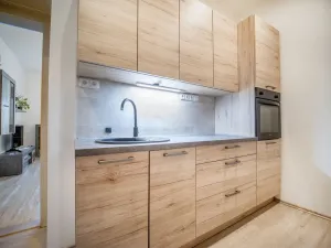 Prodej bytu 2+kk, Praha - Žižkov, Malešická, 46 m2