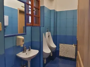 Pronájem restaurace, Sušice - Sušice I, Mostní, 116 m2