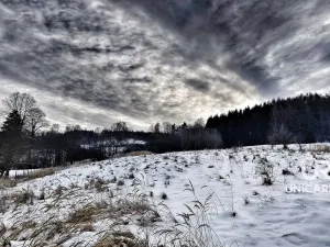 Prodej chaty, Pohledy - Horní Hynčina, 90 m2