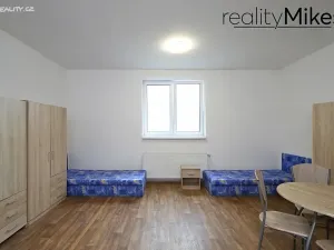 Pronájem ubytování, Dobrovice, 500 m2