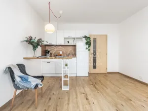 Pronájem bytu 1+kk, Praha - Stodůlky, Holýšovská, 12052 m2