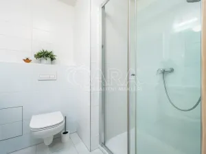 Pronájem bytu 1+kk, Praha - Stodůlky, Holýšovská, 12052 m2