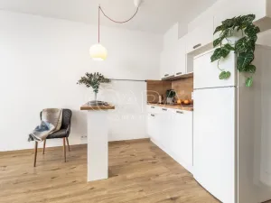 Pronájem bytu 1+kk, Praha - Stodůlky, Holýšovská, 12052 m2