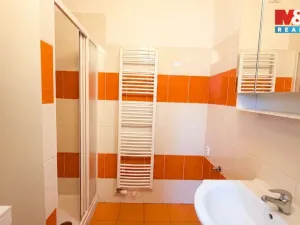 Pronájem bytu 3+1, Hranice - Hranice IV-Drahotuše, Tylova, 74 m2