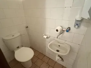 Pronájem obchodního prostoru, Želetava, Pražská, 188 m2