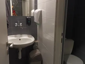 Pronájem obchodního prostoru, Příbram - Příbram VIII, Budovatelů, 180 m2