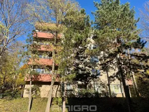 Pronájem bytu 1+kk, Brno, Podlesí, 39 m2