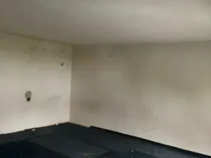 Prodej rodinného domu, Brodek u Prostějova, Havlíčkova, 103 m2