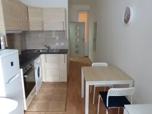 Pronájem bytu 1+kk, Praha - Michle, Čapkova, 20 m2