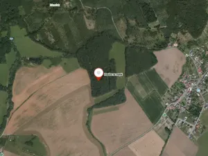 Prodej lesa, Roštění, 947 m2