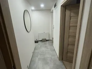 Pronájem bytu 3+kk, Frýdek-Místek, Maxe Švabinského, 65 m2