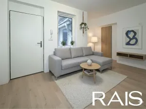 Prodej bytu 1+kk, Brno, Merhautova, 35 m2