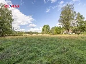 Prodej pozemku pro bydlení, Suchdol nad Lužnicí, 1001 m2