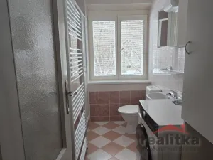 Pronájem bytu 1+1, Opava - Předměstí, Těšínská, 35 m2