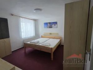 Pronájem bytu 1+1, Opava - Předměstí, Těšínská, 35 m2