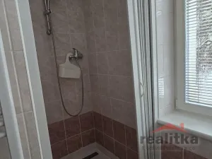 Pronájem bytu 1+1, Opava - Předměstí, Těšínská, 35 m2