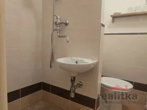 Pronájem bytu 1+kk, Opava - Kateřinky, Holasická, 21 m2