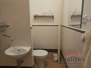 Pronájem bytu 1+kk, Opava - Kateřinky, Holasická, 21 m2