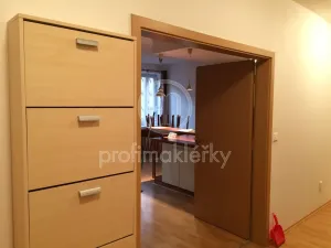 Pronájem bytu 2+kk, Brno, Leitnerova, 65 m2