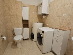 Pronájem bytu 1+kk, Chýně, U Dráhy, 39 m2