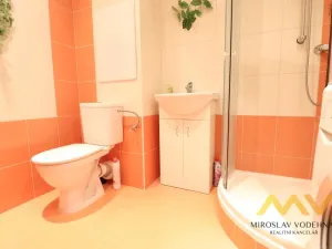 Pronájem bytu 1+kk, Hradec Králové - Pražské Předměstí, Hrubínova, 39 m2