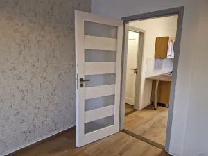 Pronájem bytu 1+1, Děčín - Děčín IV-Podmokly, Raisova, 44 m2