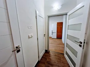 Pronájem bytu 1+1, Děčín - Děčín IV-Podmokly, Raisova, 44 m2