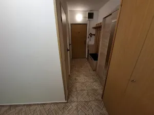 Prodej bytu 2+kk, Brno - Bohunice, Neužilova, 45 m2