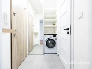 Pronájem bytu 1+kk, Praha - Michle, Mezipolí, 29 m2