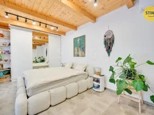 Prodej rodinného domu, Přerov, Hlavní, 200 m2