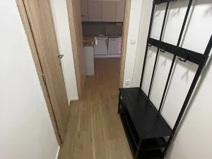 Pronájem bytu 2+kk, Praha - Nusle, Čiklova, 37 m2