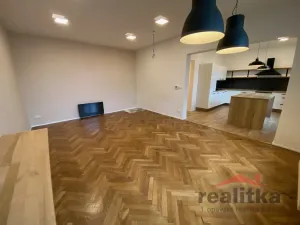 Prodej bytu 4+1, Opava - Předměstí, Olomoucká, 110 m2