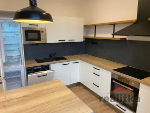 Prodej bytu 4+1, Opava - Předměstí, Olomoucká, 110 m2