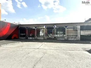 Pronájem obchodního prostoru, Příbram - Příbram VII, Bož. Němcové, 240 m2