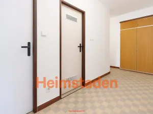 Pronájem bytu 2+1, Albrechtice, Hlavní, 58 m2