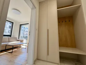 Pronájem bytu 1+kk, Praha - Nusle, Závišova, 33 m2