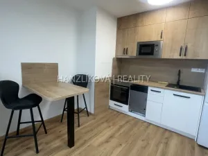 Pronájem bytu 1+kk, České Budějovice, Dobrovodská, 32 m2