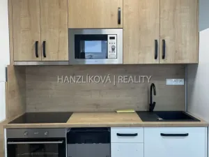 Pronájem bytu 1+kk, České Budějovice, Dobrovodská, 32 m2