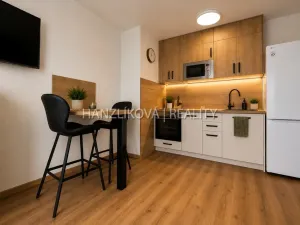 Pronájem bytu 1+kk, České Budějovice - České Budějovice 5, Dobrovodská, 36 m2