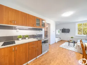 Pronájem bytu 1+kk, Kořenov, 29 m2